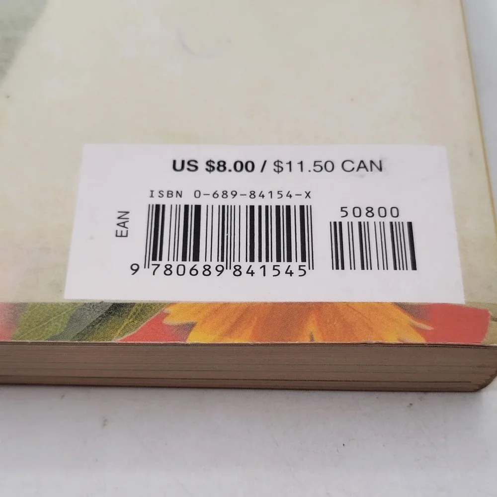 Ellen Wittlinger Hard Love Paperback 1st Edition Printz Honor Lambda Award